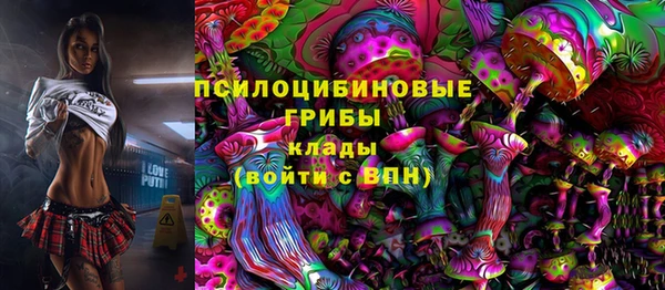 2c-b Вязьма