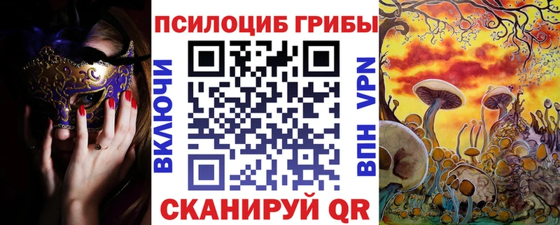 закладка  Островной  Псилоцибиновые грибы Magic Shrooms 